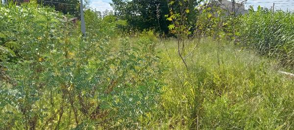 Terreno de 125m² em Capivari